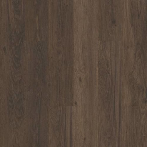 Shaw Industries in PRAXIS PLANK Luxury Vinyl — America's Floor Source