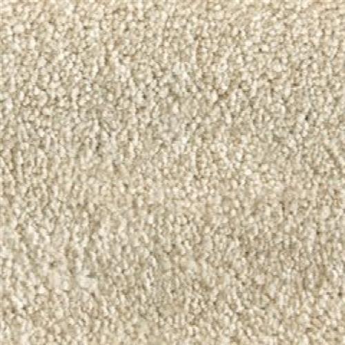 Atelier Marquee - Velveteen in Bisque Carpet