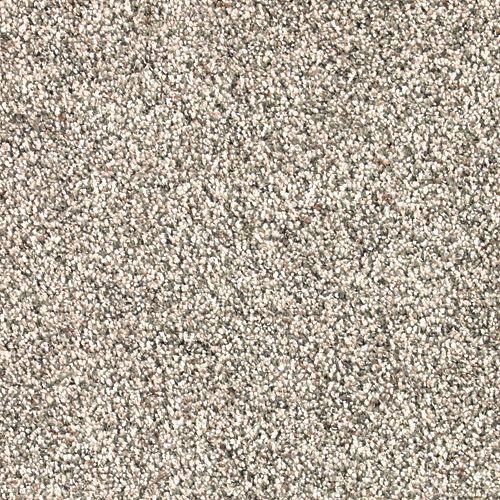 Blissful Manner in Almond Wash Carpet