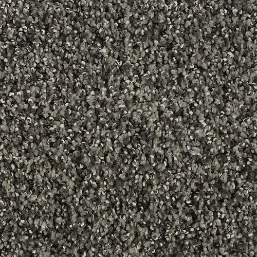 Artisan Essence in Alloy Carpet