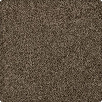 Karastan Soft Eloquence Carpet Flooring